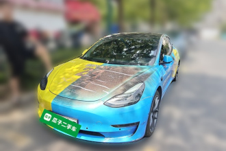 特斯拉 Model 3 2021款 Performance高性能全轮驱动版