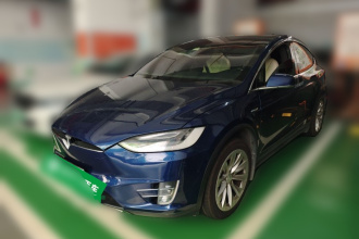 特斯拉 Model X 2020款 Performance 高性能版