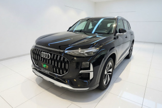 奥迪Q6 2024款 40 TFSI quattro 观云型 羽林套装 7座