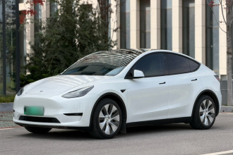 特斯拉 Model Y 2022款 后轮驱动版