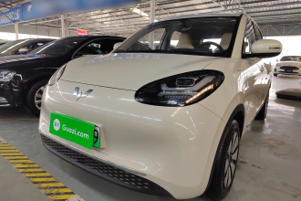 五菱汽车 五菱缤果 2024款 333km 悦享款