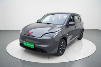 五菱汽车 五菱宏光新能源 2024款 纯电版 300KM 标准型