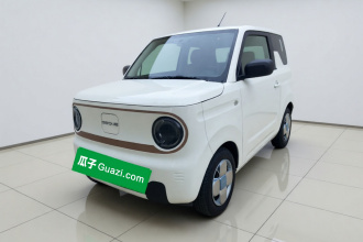 吉利银河 2024款 熊猫mini 200km 耐力熊