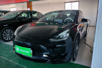 特斯拉 Model 3 2019款 标准续航后驱升级版