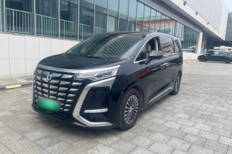 腾势D9 2024款 DM-i 980 四驱尊贵型