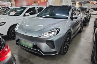 ARCFOX极狐 极狐 阿尔法T 2021款 480S 175kW