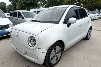 欧拉黑猫 2021款 301km 基础型