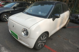 欧拉黑猫 2022款 改款 301km 萌宠版 磷酸铁锂