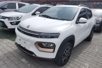 东风纳米 纳米BOX 2022款 轻风版 201KM 闪电型