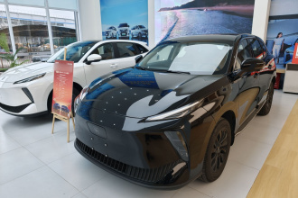 东风风行 风行雷霆 2025款 230 豪华版