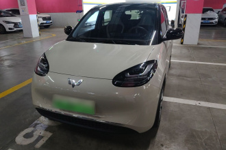 五菱汽车 五菱缤果 2024款 333km 悦享款