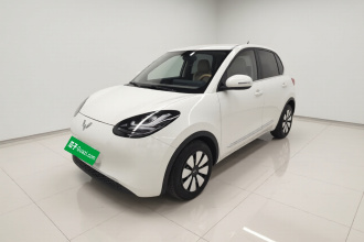 五菱汽车 五菱缤果 2023款 203km 舒享款