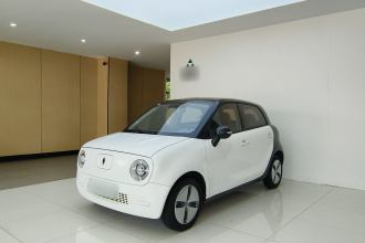 欧拉黑猫 2021款 301km 基础型