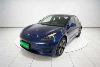特斯拉 Model 3 2020款 改款 标准续航后驱升级版