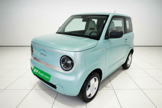 吉利银河 2023款 熊猫mini 200km 耐力熊
