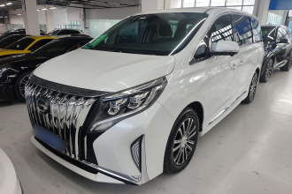 广汽传祺 传祺M8 2023款 领秀系列 390T 尊贵版