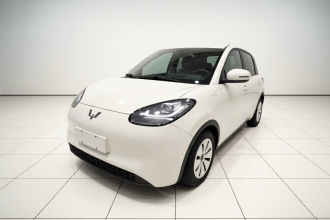 五菱汽车 五菱缤果 2023款 333km 快享款