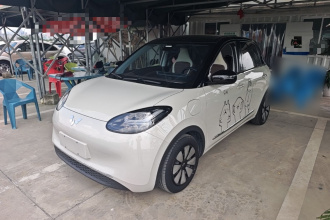 五菱汽车 五菱缤果 2023款 333km 悦享款