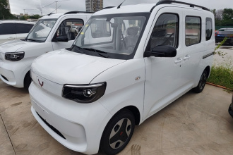 五菱汽车 五菱之光新能源 2025款 305km 进取型