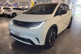 比亚迪 海豚 2025款 420km 活力版
