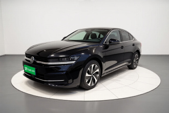 大众 迈腾 2024款  300TSI DSG尊享版显眼包