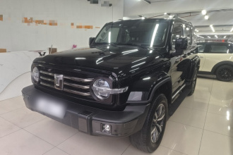 坦克300 2021款 城市版 2.0T 很有型