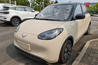 五菱汽车 五菱缤果 2025款 333km 悦享款