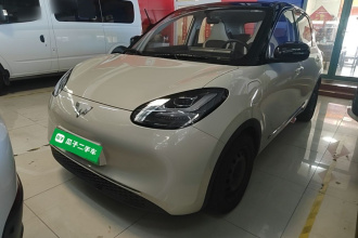 五菱汽车 五菱缤果 2024款 333km 悦享款
