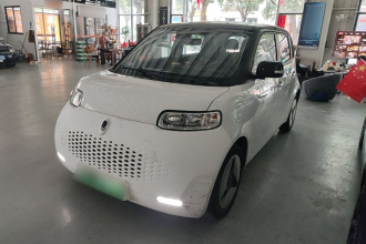 欧拉白猫 2020款 360km 豪华型