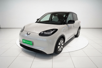 五菱汽车 五菱缤果 2024款 333km 悦享款