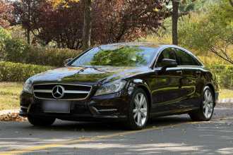 奔驰CLS 2012款 CLS 300 CGI