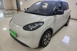 五菱汽车 五菱缤果 2023款 333km 灵犀互联+款