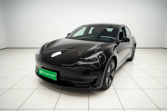 特斯拉 Model 3 2020款 改款 长续航后轮驱动版