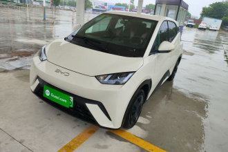 比亚迪 海鸥 2024款 荣耀版 305km 活力版