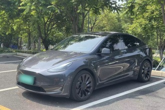 特斯拉 Model Y 2021款 Performance高性能全轮驱动版
