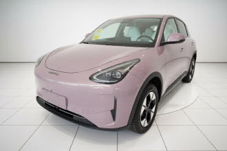 吉利银河 星愿 2026款 310km 梦想版