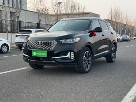 魏牌 VV6 2021款 2.0T 两驱智护+