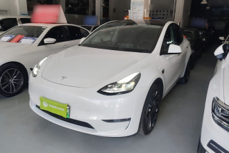 特斯拉 Model Y 2022款 Performance高性能全轮驱动版