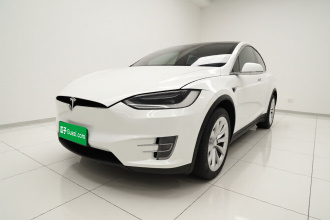 特斯拉 Model X 2019款 长续航版