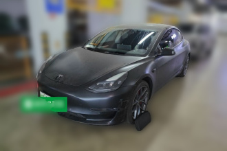 特斯拉 Model 3 2022款 Performance高性能全轮驱动版