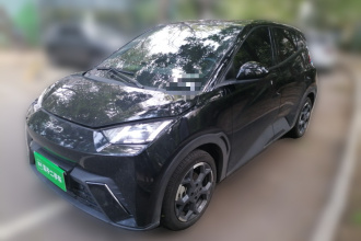 比亚迪 海鸥 2024款 荣耀版 305km 自由版