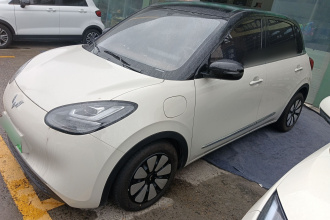 五菱汽车 五菱缤果 2024款 333km 悦享款