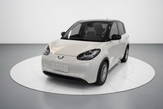 五菱汽车 五菱缤果 2023款 203km 舒享款