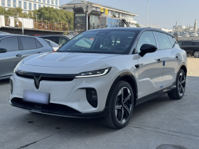 岚图汽车 岚图知音 2024款 长续航智享版