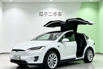 特斯拉 Model X 2020款 长续航升级版