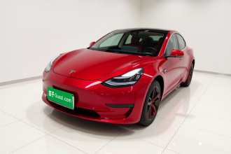 特斯拉 Model 3 2020款 标准续航后驱升级版