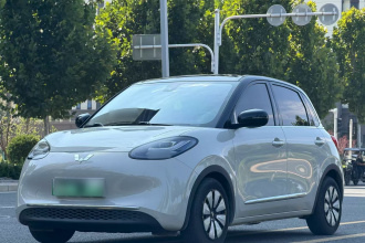 五菱汽车 五菱缤果 2023款 203km 舒享款