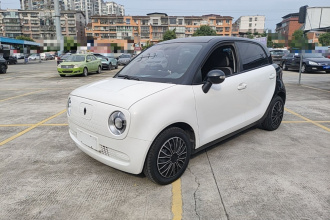 欧拉黑猫 2021款 301km 基础型