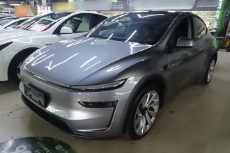 特斯拉 Model Y 2025款 长续航全轮驱动 首发版