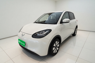 五菱汽车 五菱缤果 2023款 203km 舒享款